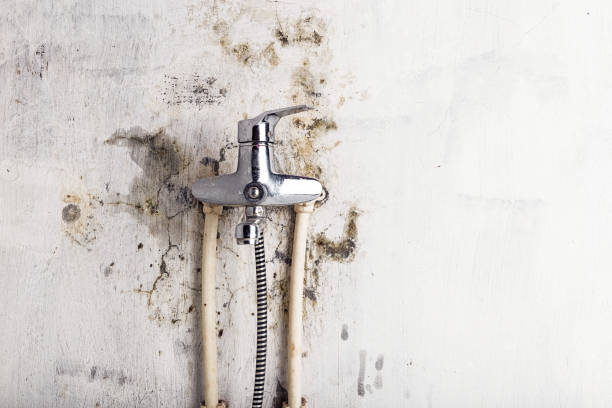 Best Mold Testing  in Delmont, PA