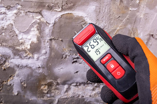 Best Home Mold Removal  in Delmont, PA